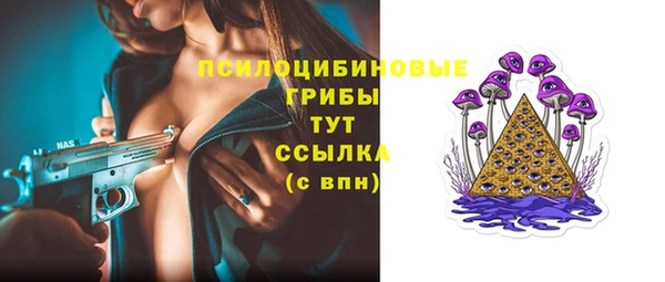 сатива Баксан