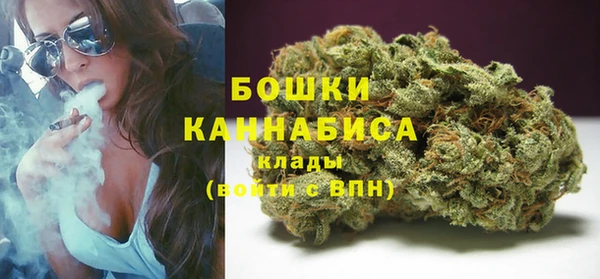 сатива Баксан