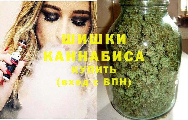 сатива Баксан